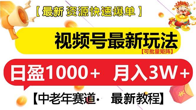 （13530期）视频号最新玩法 中老年赛道 月入3W+-柠檬网创