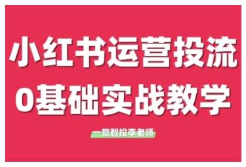 小红书运营投流，小红书广告投放从0到1的实战课，学完即可开始投放-柠檬网创