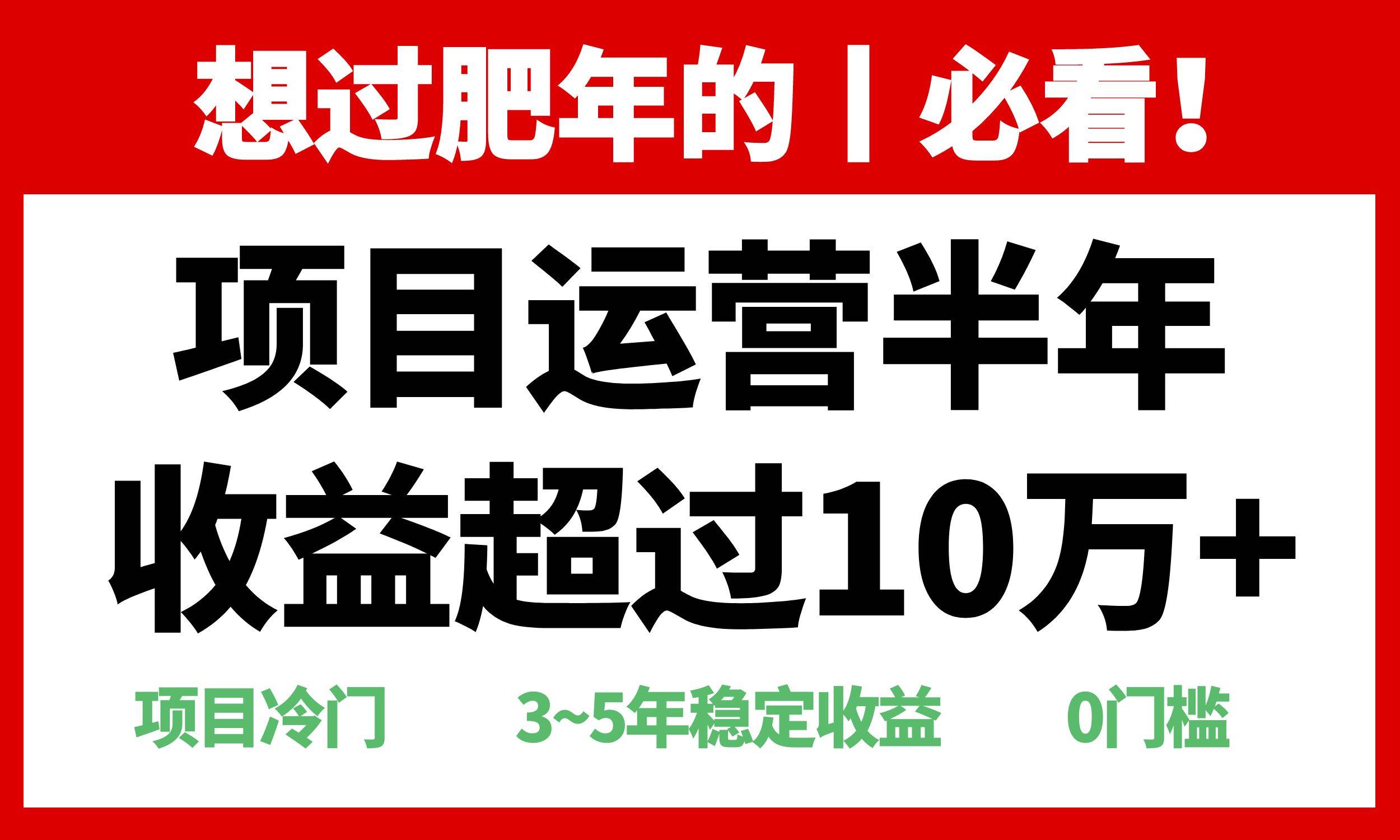 （13663期）年前过肥年的必看的超冷门项目，半年收益超过10万+，-柠檬网创