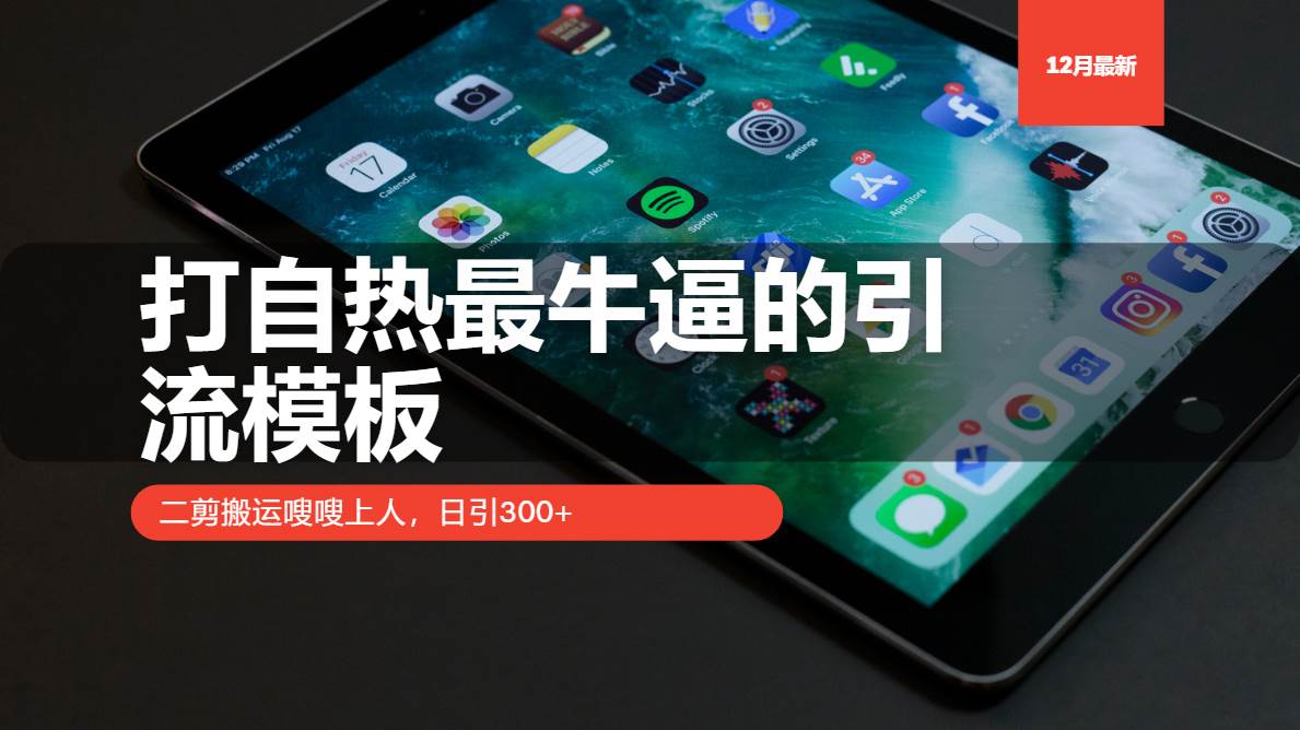 （13654期）打自热最牛逼的引流模板，二剪搬运嗖嗖上人，日引300+-柠檬网创