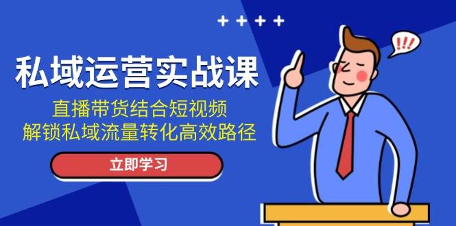（13587期）私域运营实战课：直播带货结合短视频，解锁私域流量转化高效路径-柠檬网创