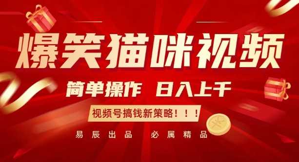 爆笑猫咪视频：简单操作，日入过K，视频号搞钱新策略【揭秘】-柠檬网创