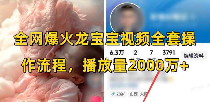 全网爆火龙宝宝视频全套操作流程，播放量2000万+-柠檬网创