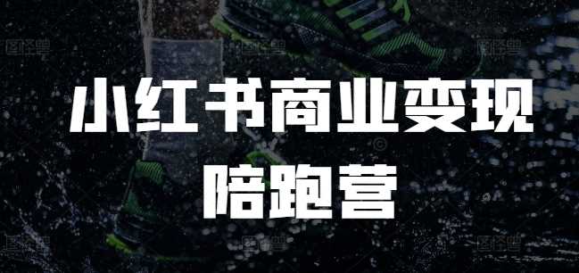 小红书商业变现陪跑营，小红书电商教程-柠檬网创