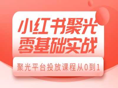 小红书聚光零基础实战，聚光平台投放课程从0到1-柠檬网创