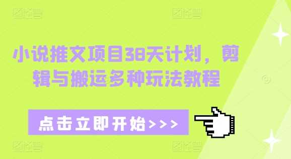 小说推文项目38天计划，剪辑与搬运多种玩法教程-柠檬网创