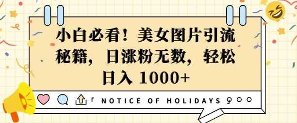 小白必看，美女图片引流秘籍，日涨粉无数，轻松日入几张【揭秘】-柠檬网创