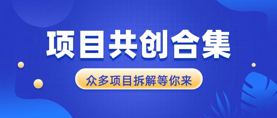 （13778期）项目共创合集，从0-1全过程拆解，让你迅速找到适合自已的项目-柠檬网创