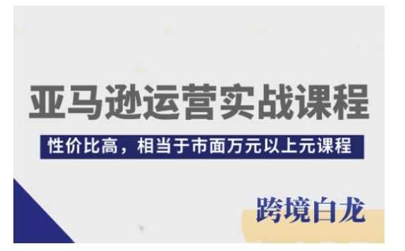 亚马逊运营实战课程，亚马逊从入门到精通，性价比高，相当于市面万元以上元课程-柠檬网创