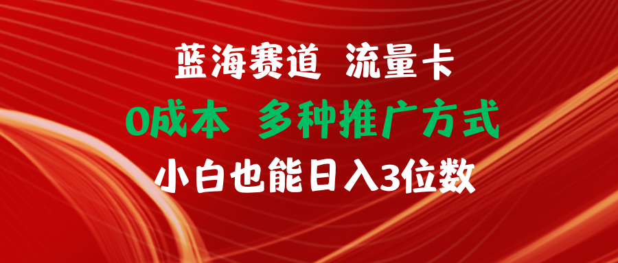 【站长实操】蓝海赛道 流量卡 0成本 小白也能日入三位数-柠檬网创