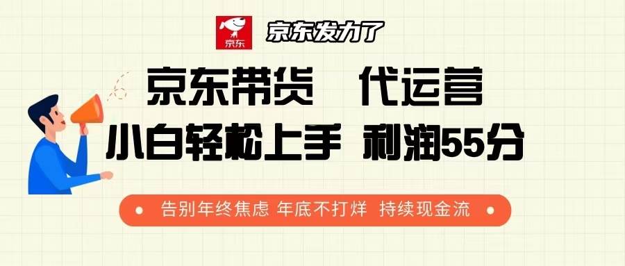 （13833期）京东带货 代运营 利润55分 告别年终焦虑 年底不打烊 持续现金流-柠檬网创