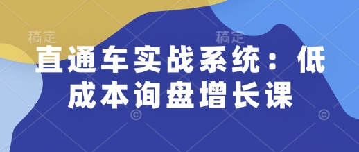 直通车实战系统：低成本询盘增长课，让个人通过技能实现升职加薪，让企业低成本获客，订单源源不断-柠檬网创