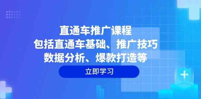直通车推广课程：包括直通车基础、推广技巧、数据分析、爆款打造等-柠檬网创