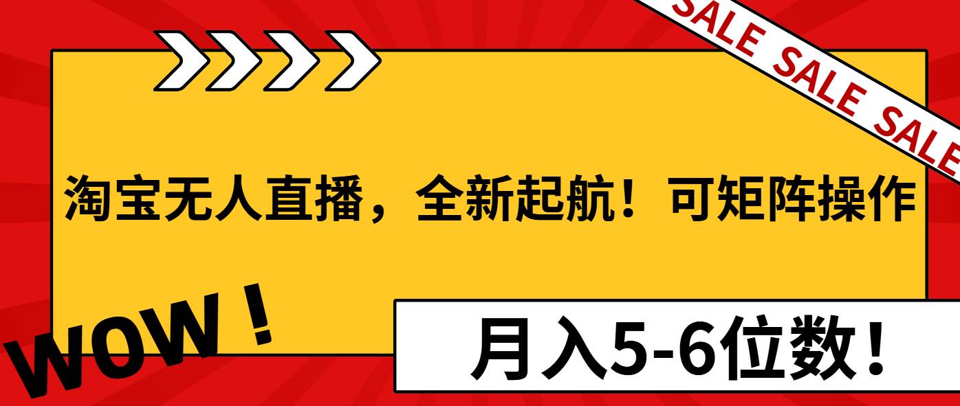 （13946期）淘宝无人直播，全新起航！可矩阵操作，月入5-6位数！-柠檬网创