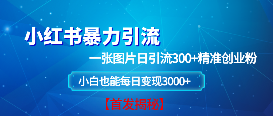 （13935期）小红书暴力引流法，一张图片日引 300+精准创业粉，每日稳定变现 3000+【揭秘】-柠檬网创