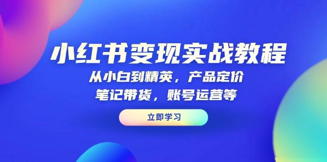 （13923期）小红书变现实战教程：从小白到精英，产品定价，笔记带货，账号运营等-柠檬网创