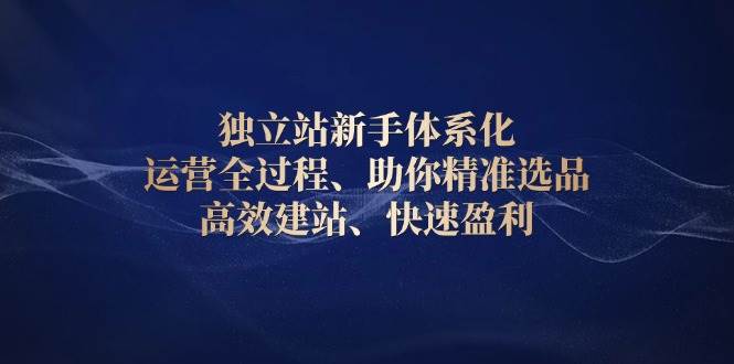 （13914期）独立站新手体系化 运营全过程，助你精准选品、高效建站、快速盈利-柠檬网创